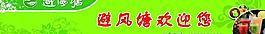 避風(fēng)塘圖片