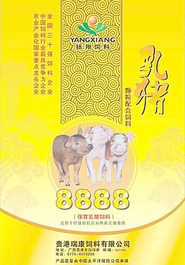 乳豬飼料包裝圖片
