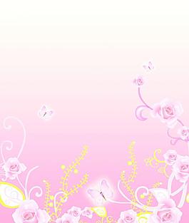 蝶戀花圖片