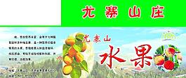 水果包裝箱圖片