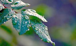 水滴圖片