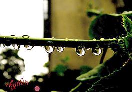 水滴图片
