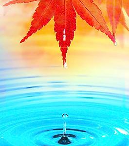 水滴圖片