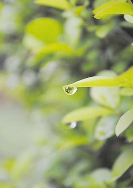水滴圖片