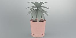 盆栽植物