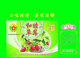 草莓包装箱图片