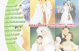 維也納婚慶一條街（第3頁）圖片