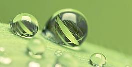 露珠 水滴 葉面圖片