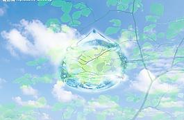 天空 樹葉 水滴圖片