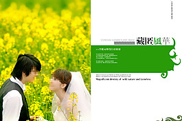 非誠(chéng)勿擾婚紗模板