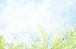 天空 樹葉 水滴圖片