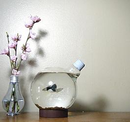 节能灯泡图片