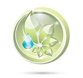 綠葉 水珠圖片