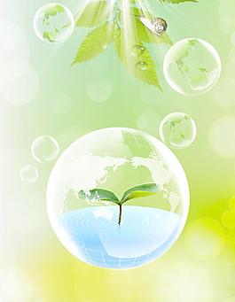 水樹葉圖片