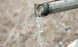 竹枝流水圖片