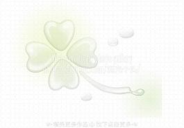 四葉草圖片