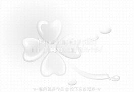 四葉草圖片