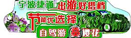 節(jié)能自駕游車身貼圖片