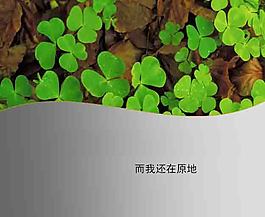 三葉草PPT模板