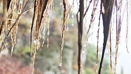 雨滴圖片