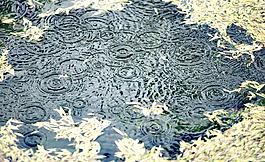 水波圖片