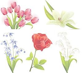 春天的鮮花圖片