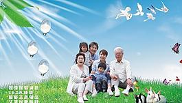 节能灯 全家福 鸟 蝴蝶 草地 蓝天 光线 树叶图片