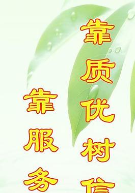 綠色背景圖片