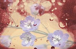 紫色花卉背景图片