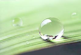 水珠圖片