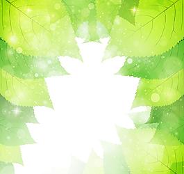 綠葉圖片