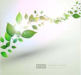 綠葉圖片