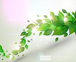 綠葉圖片