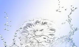 水珠圖片
