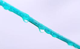 水珠圖片