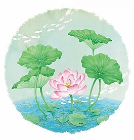 夏日荷花
