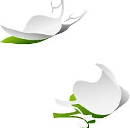 綠葉抽象環(huán)保背景圖片