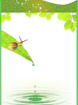 時尚綠色背景圖片