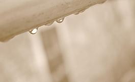雨天過后圖片