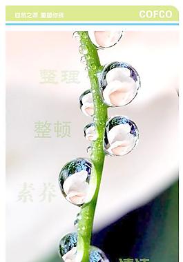 企業(yè)文化 海報(bào)圖片
