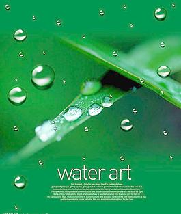 水珠圖片