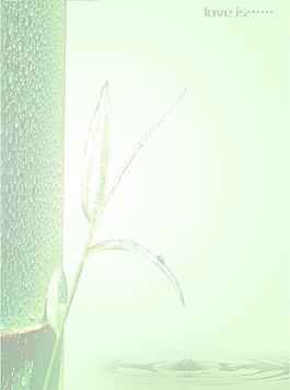 竹子信箋圖片