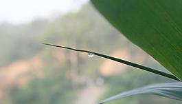 晨霧圖片