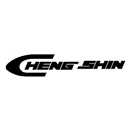 正新
