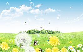 蒲公英圖片