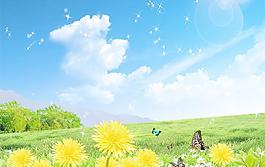 蒲公英圖片