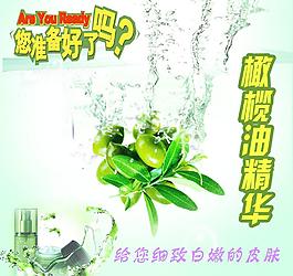 橄欖油圖片