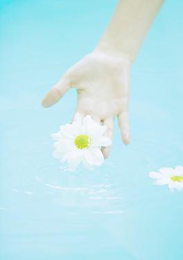 水中手托鮮花圖片