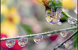 奇異的水珠圖片