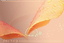 psd婚紗模板圖片